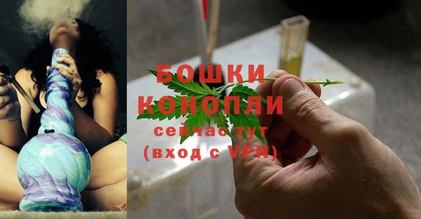 PSILOCYBIN Нефтегорск