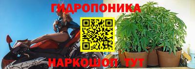 Альфа ПВП Гусев