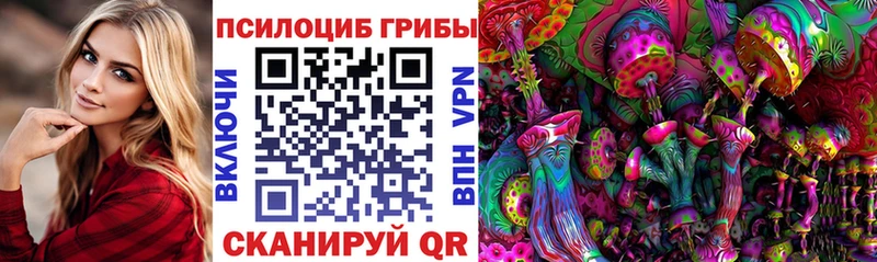 ссылка на мегу как войти  Урус-Мартан  Галлюциногенные грибы Psilocybe 